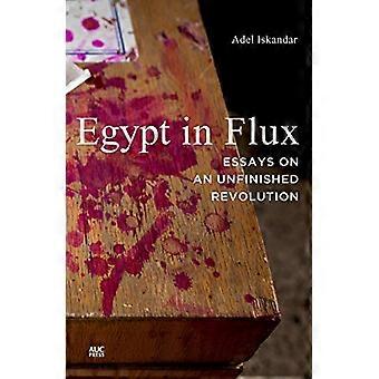 Ägypten im Umbruch: Essays über eine unvollendete Revolution