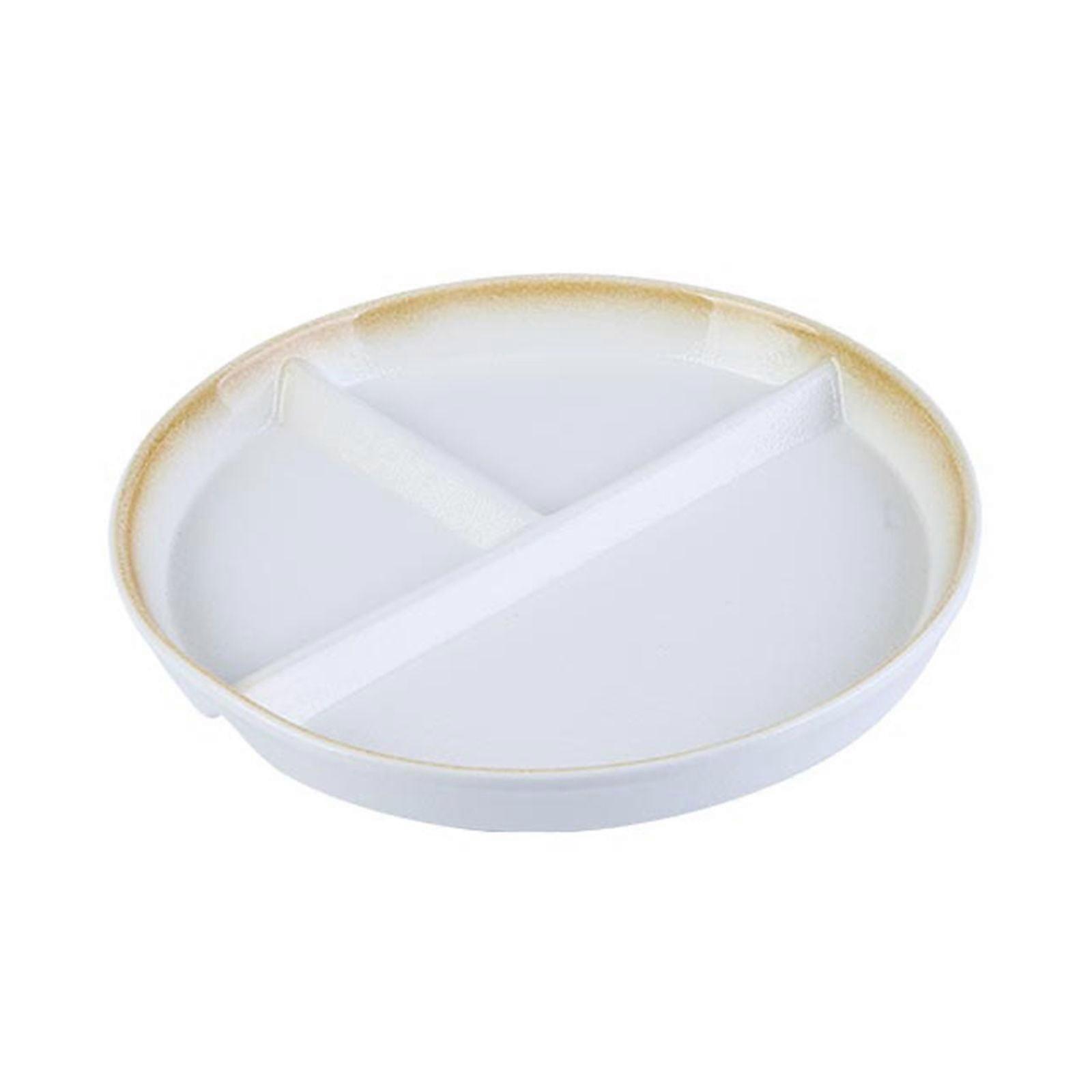 Portion Control Plates,Gradient Glaze Divided Plates for Adults,Bariatric Plates