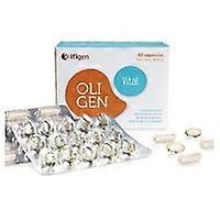 Oligen vital 60 capsules