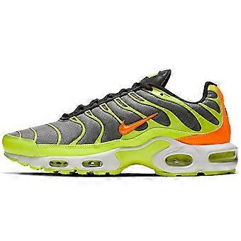 Nike Air Max Plus Color Flip Pack Black CI5924-061