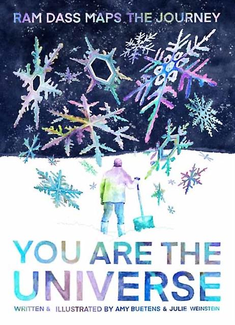 You Are The Universe by Julie Weinstein Paperback