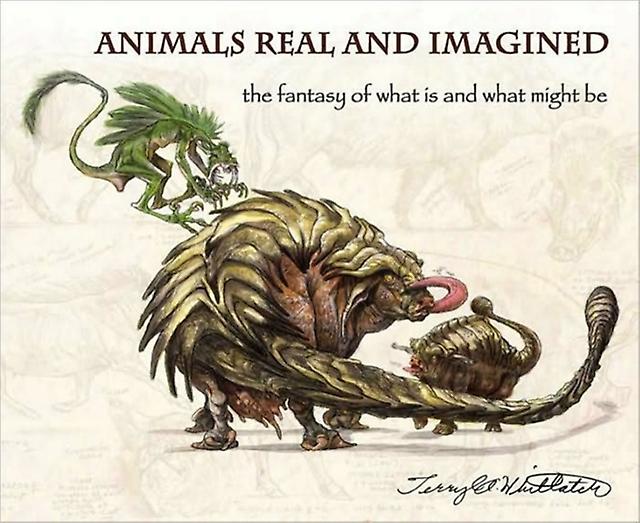 Animals Real And Imagined by Terryl Whitlatch Paperback