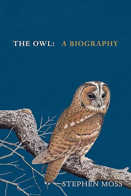 The Owl by Stephen Moss Hardback Book