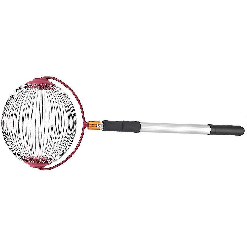 Rolling Nut Ball Picker Stainless Steel Adjustable Nut Gatherer Adjustable Collect Walnuts Apples