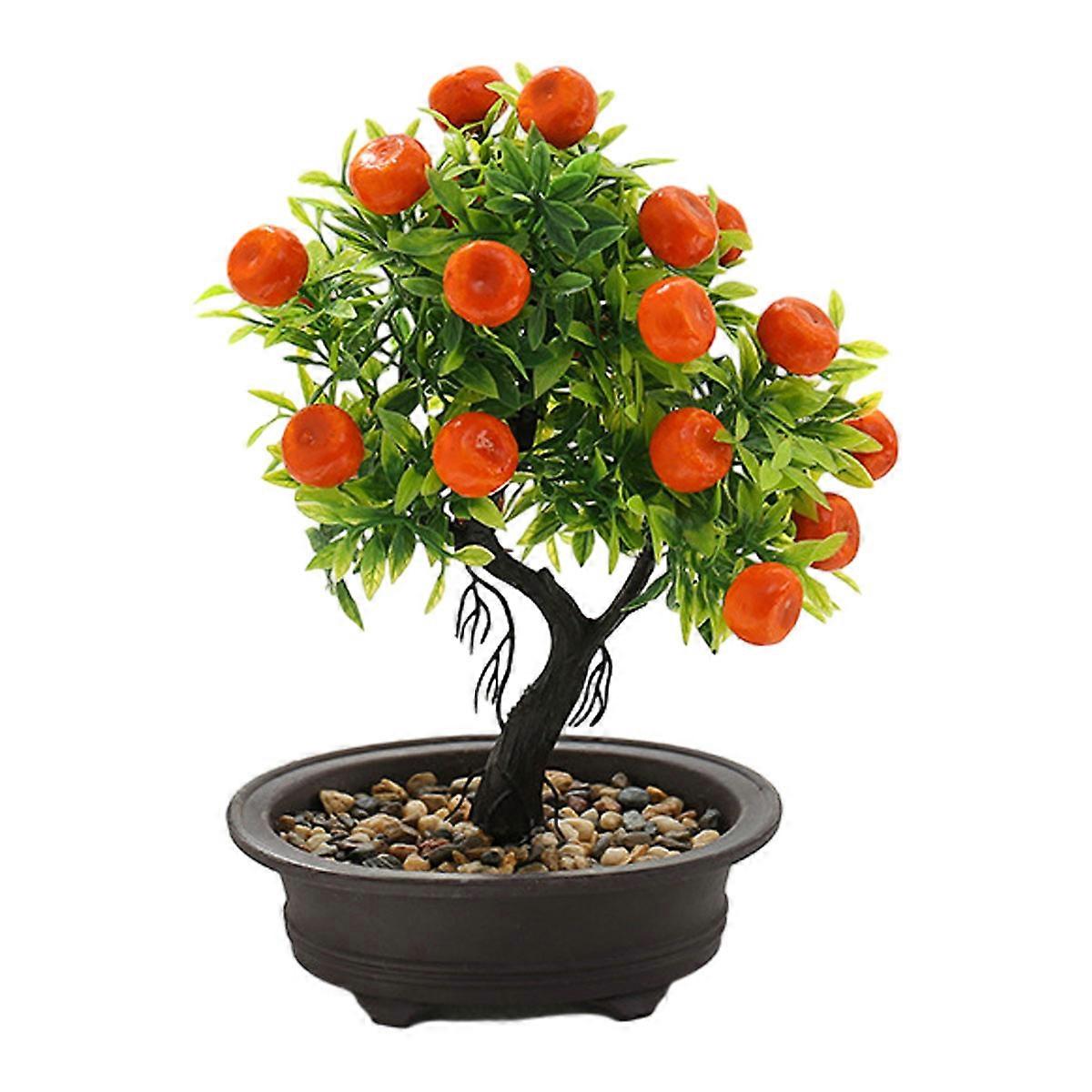 Creative home decoration potted plants