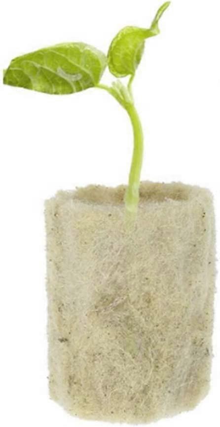 Sämling Tablett, Steinwolle Starter Plugs, Rockwool Cube Hydroponic Propagation Zylindrischer Block