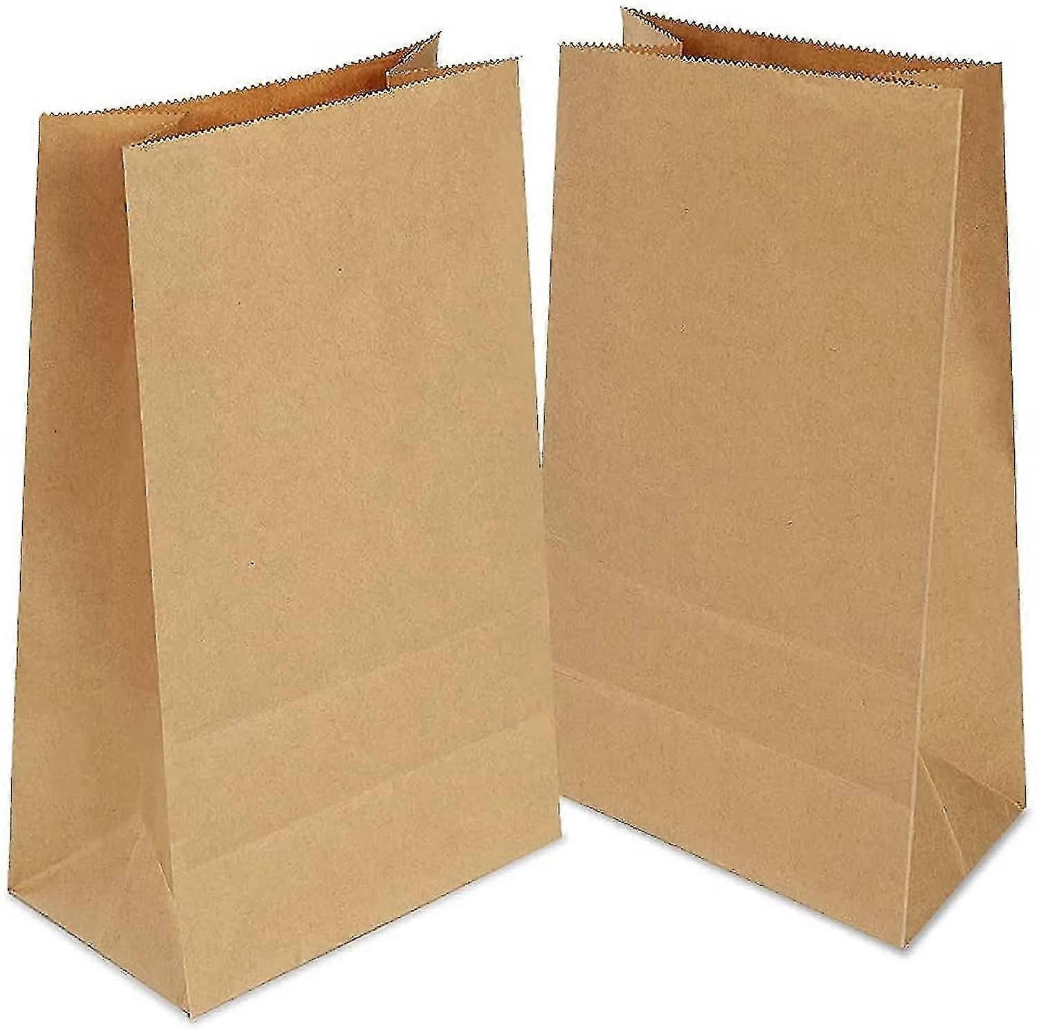 Kraft Paper Bags 100 Pcs