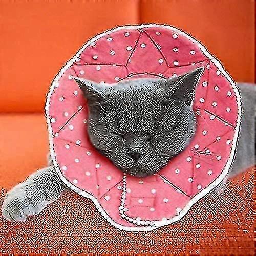 Pet Recovery Cone for Post-Surgery - Adjustable, Waterproof, Resistant to Bites and Scratches