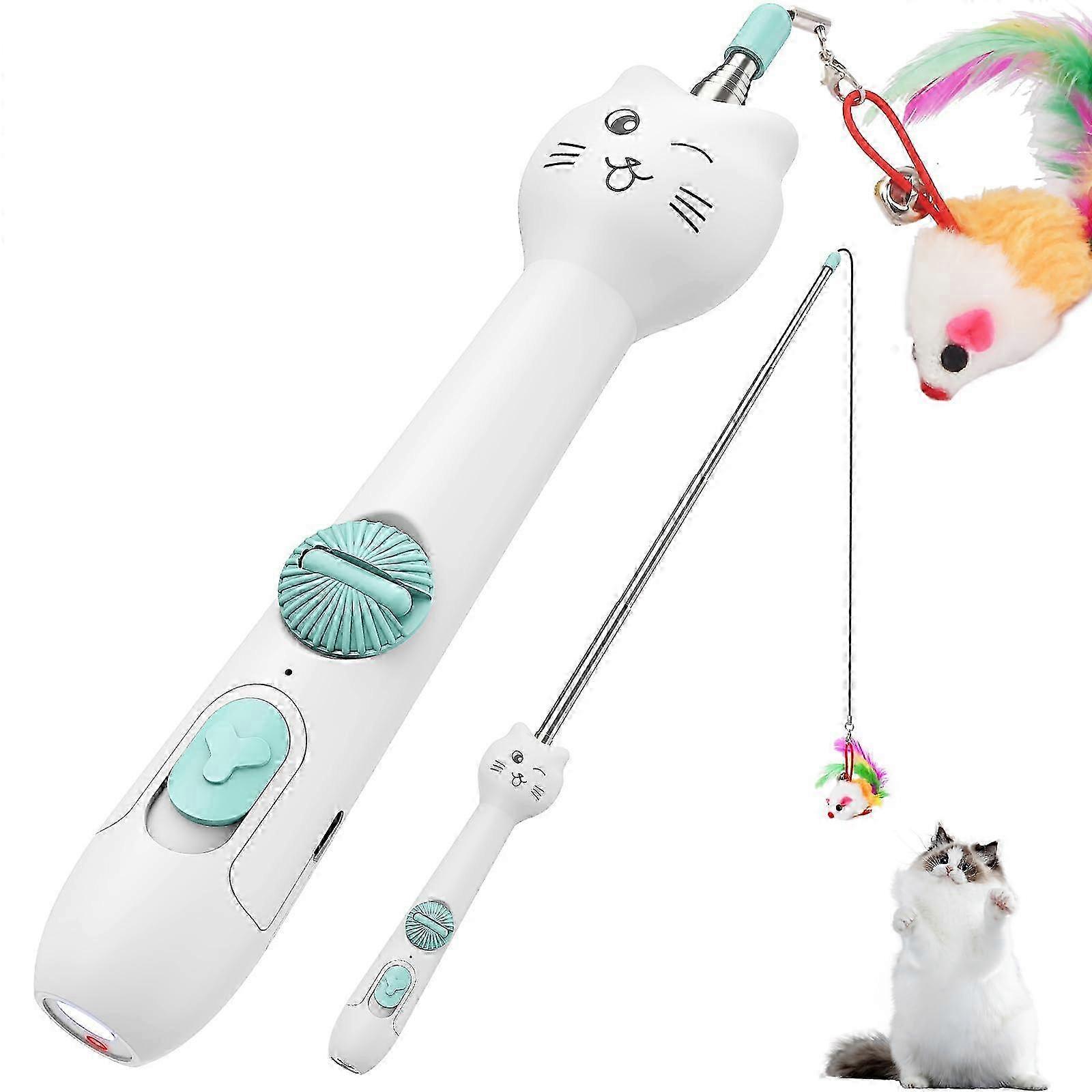 Indoor Interactive Toy for Cats