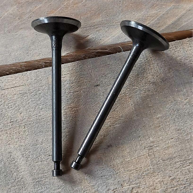 GX100 Valve In & Exhaust~6061