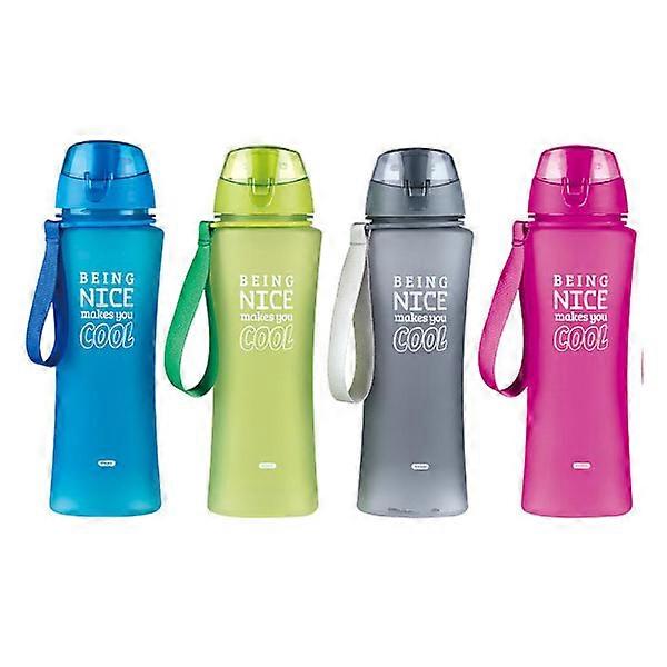Trinkflasche mit Tragegriff, 650 ml