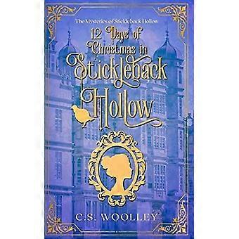 12 days of christmas in stickleback hollow a british victorian cozy mystery