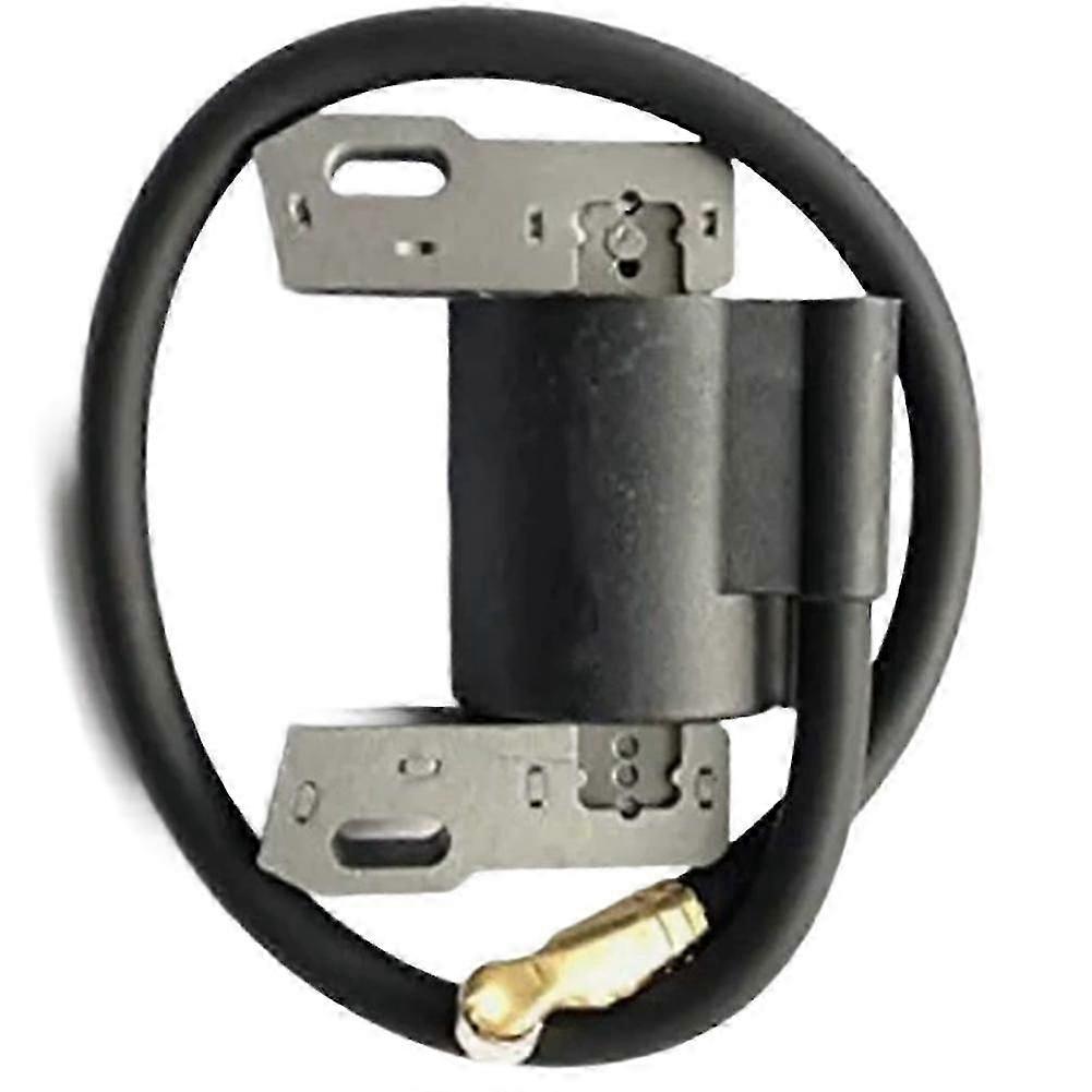 Durable High-Voltage Ignition Coil for Brighton