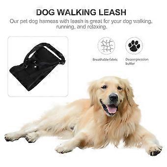 Pet Dog Harness Leash with Reflective Auxiliary Strap for Outdoor Use