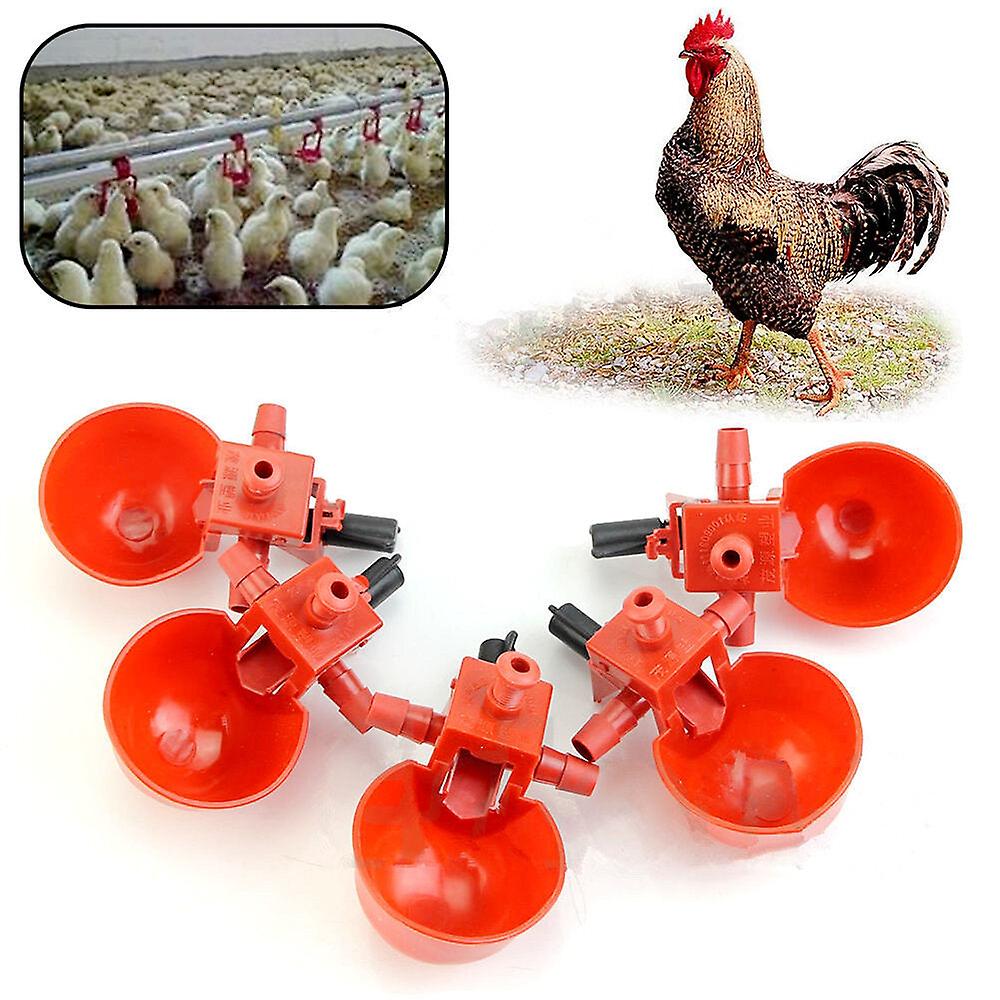 Automatic Feed Poultry Water Drinking Cup Chicken Drinker
