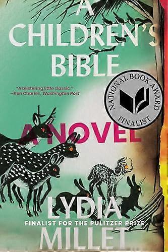 A Childrens Bible: A Novel