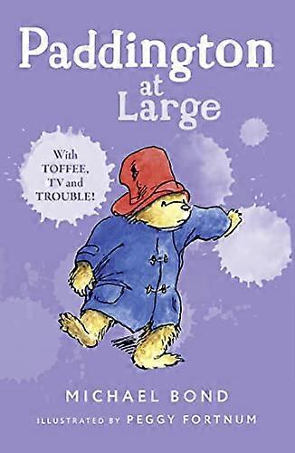 Paddington At Large