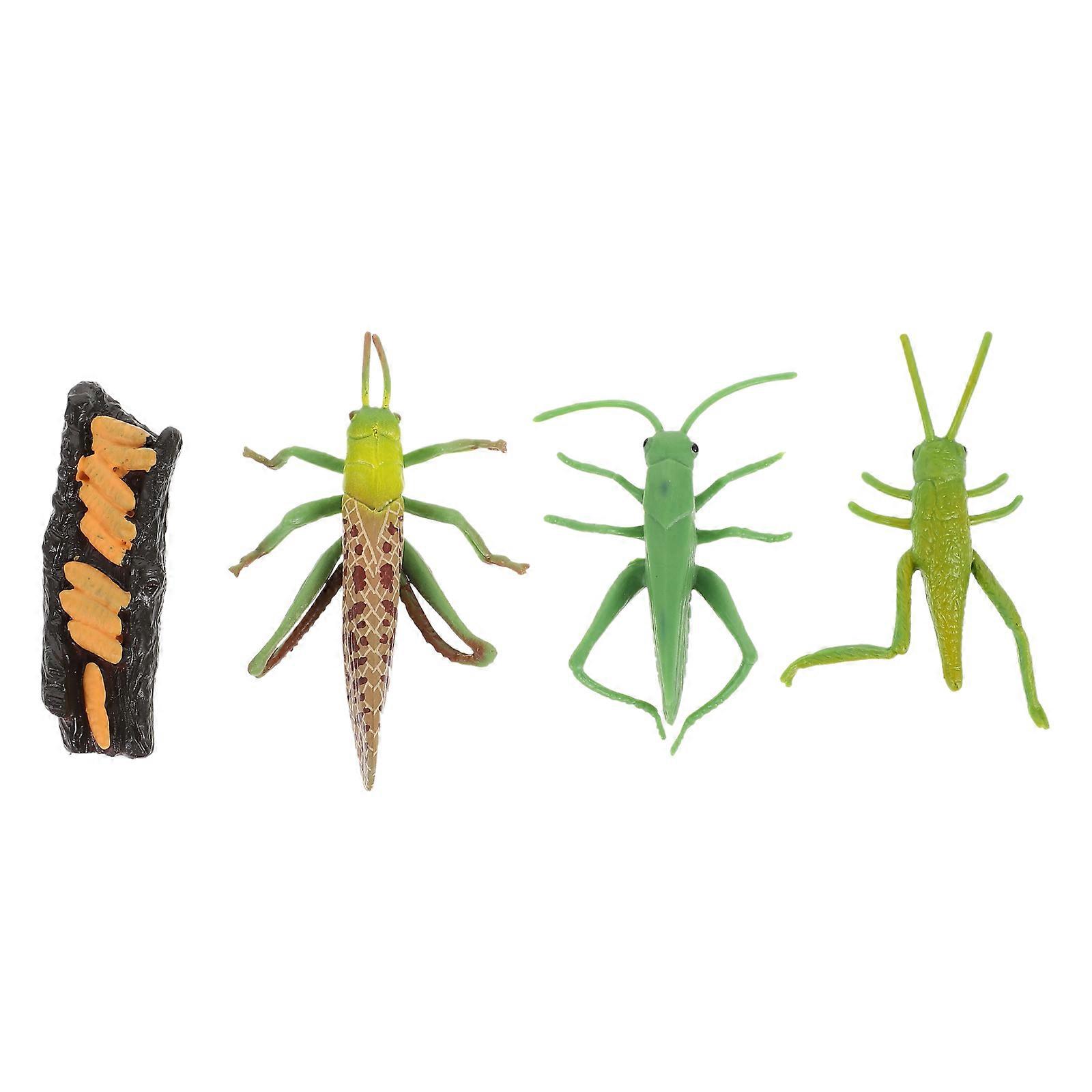 Grasshopper Growth Cycle Models Simulation Cognitive Model with 1Set