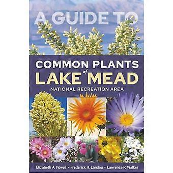 A Guide to Common Plants of Lake Mead National Recreation Area