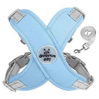 Reflektierendes Hundegeschirr mit Metall-D-Ring und Leine für kleine bis mittelgroße Hunde, Blau, Größe M