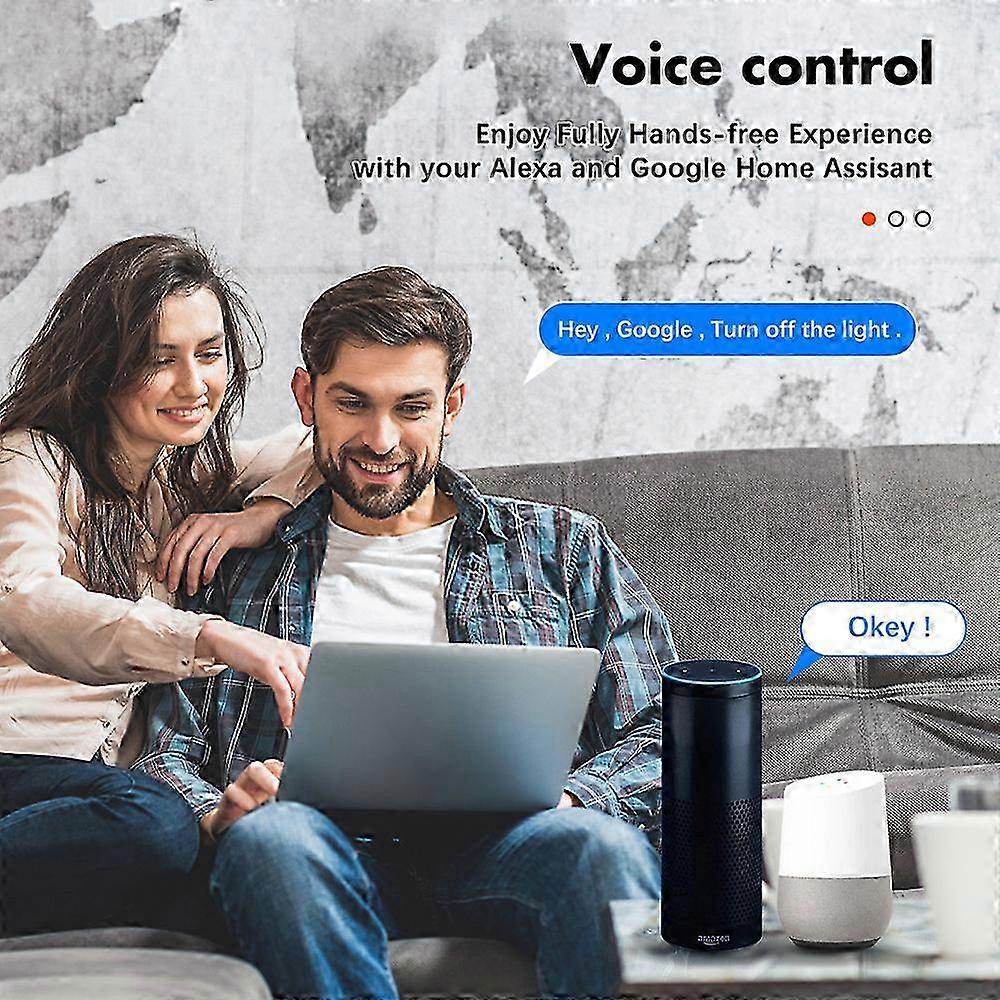 WiFi Smart Light Switch Voice Control
