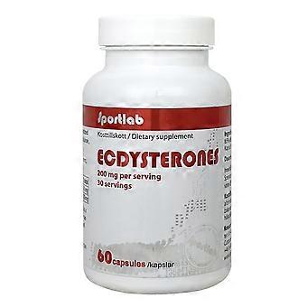 Sportlab Ecdysterone - 200 mg w dawce - Wyprodukowane w Szwecji - 60 Kapsułek - Sportlab