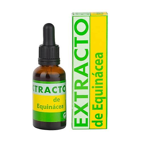Echinacea Extract 31 ml