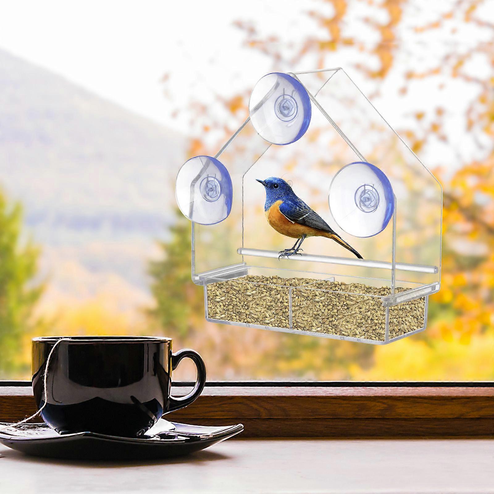 Clear Glass Window Viewing Bird Feed Hotel Table Seed Hanging Suction