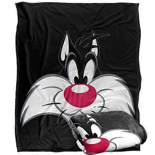 Looney Tunes Sylvester Blanket