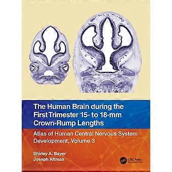 The Human Brain During The First Trimester 15- To 18-mm Crown-rump Lengths Atlas - Shirley A. Bayer