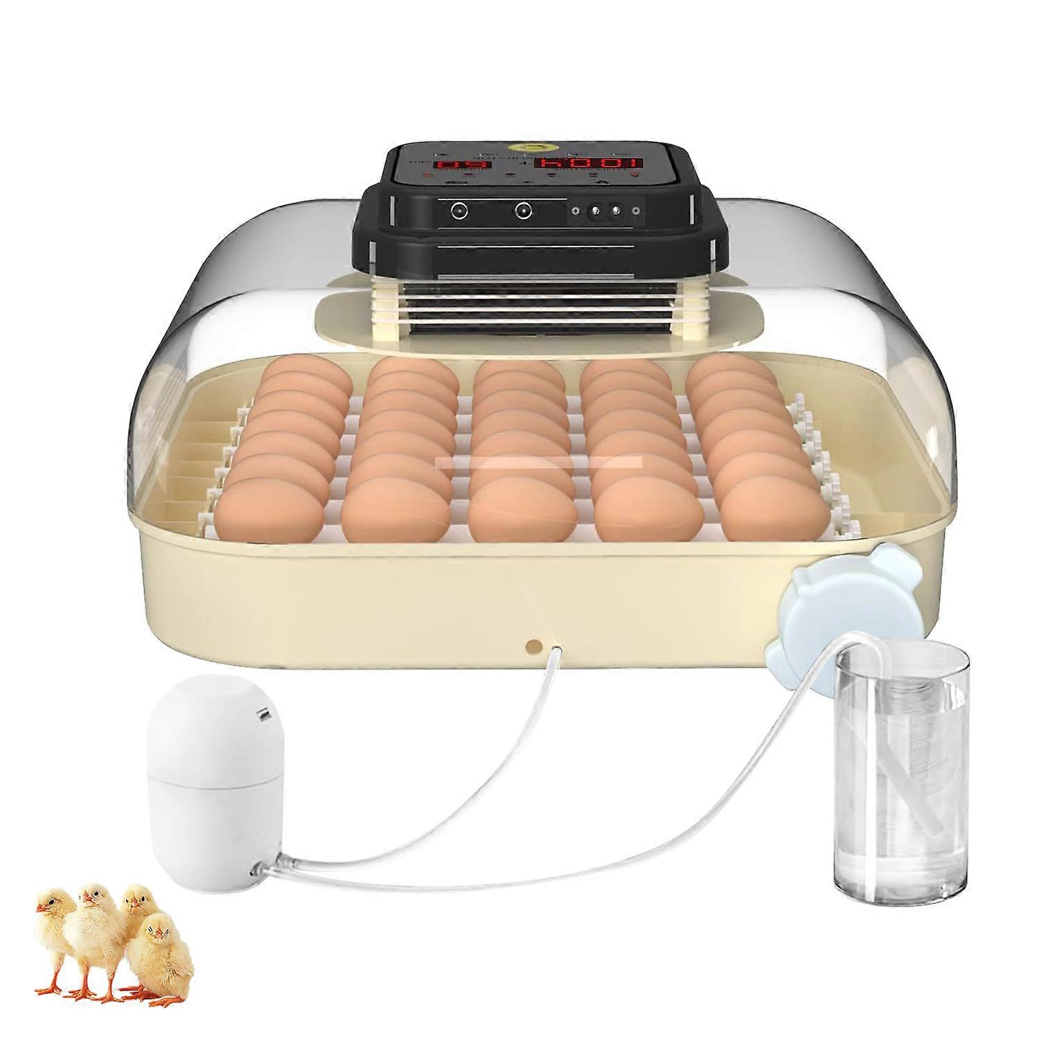 Double Power Oocyte Incubator With Precise Thermoregulation And Dampness Transducer For Poultry Hatching Multicolor