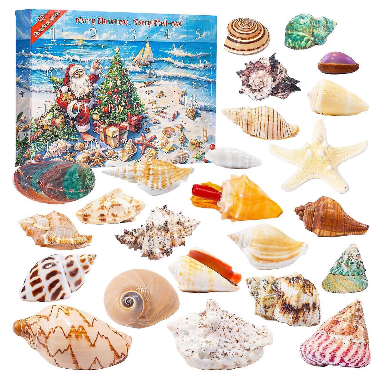 Christmas Countdown Calendar with Seashell Surprises, 24 Day Coastal Holiday Advent for Kids and Adults