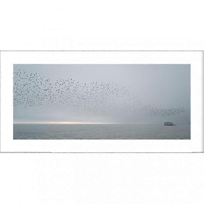 Howard Shooter Angleterre Brighton Starlings 2 Impression