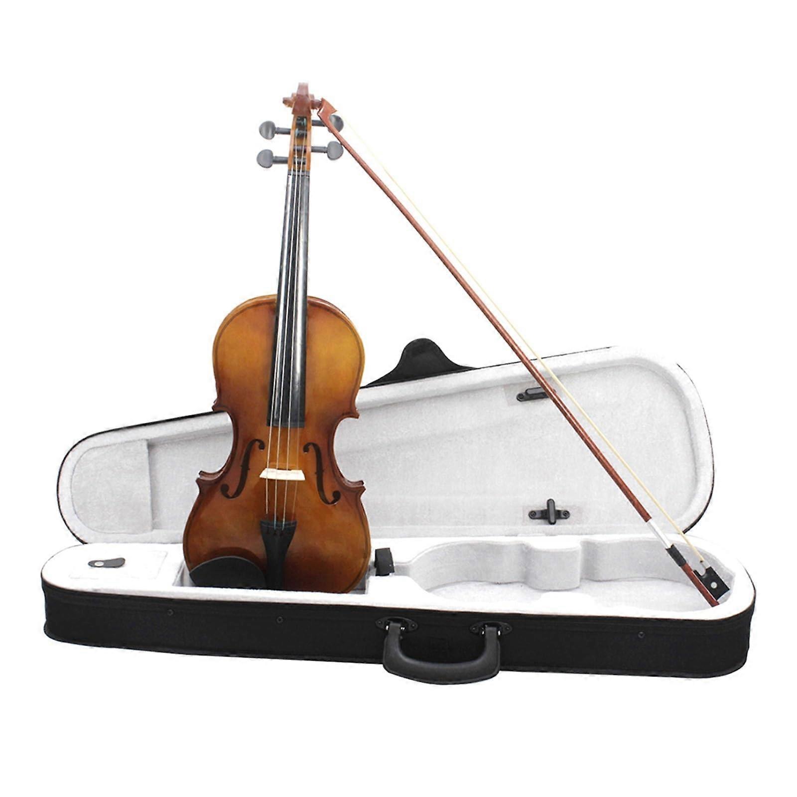 4/4 Full Size Acoustic Violin Starter Kit for Beginners with Bow and Protective Carry Case