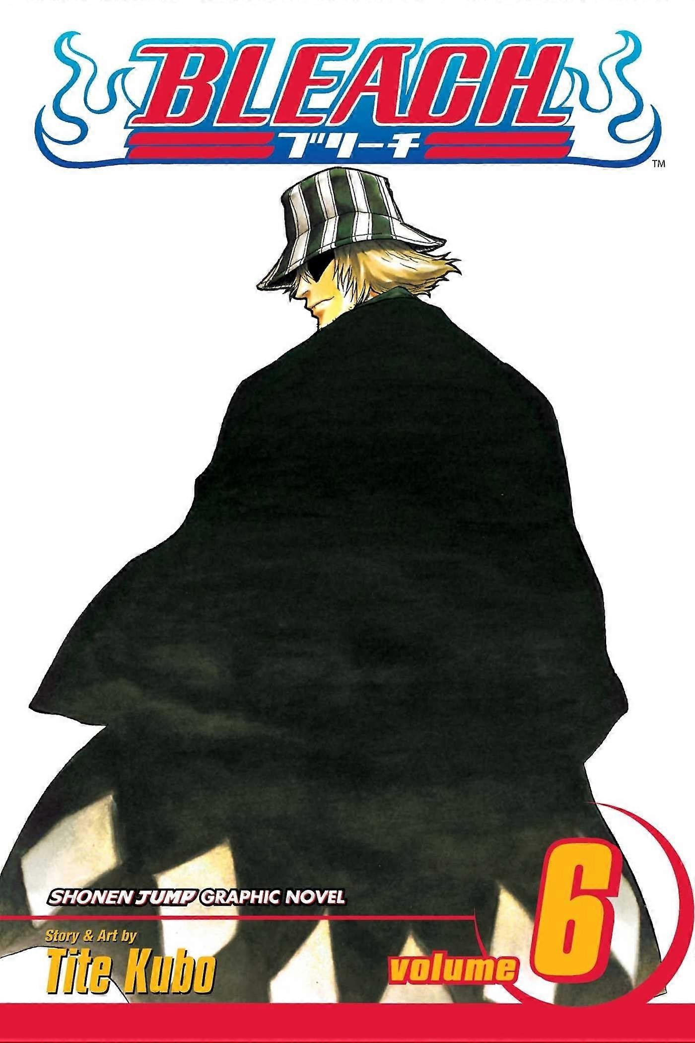 Bleach, vol. 6