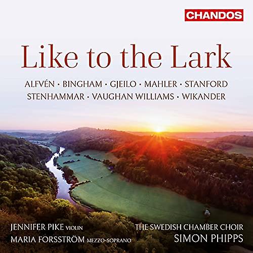 Pike/forsstrom - Like To The Lark [CD]