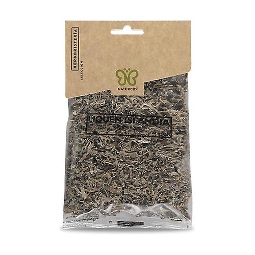 plant lichen 20 g