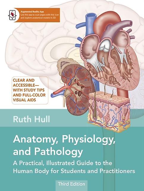 Anatomy Physiology And Pathology by Ruth Hull Paperback