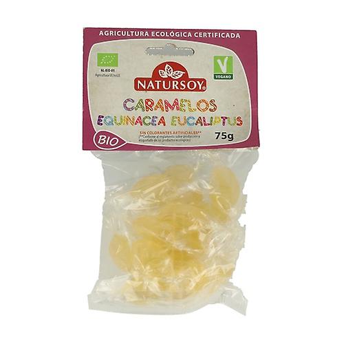Echinacea and Eucalyptus Candies 75 g