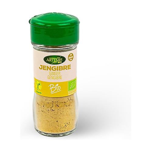 Ginger Powder Bio 25 g