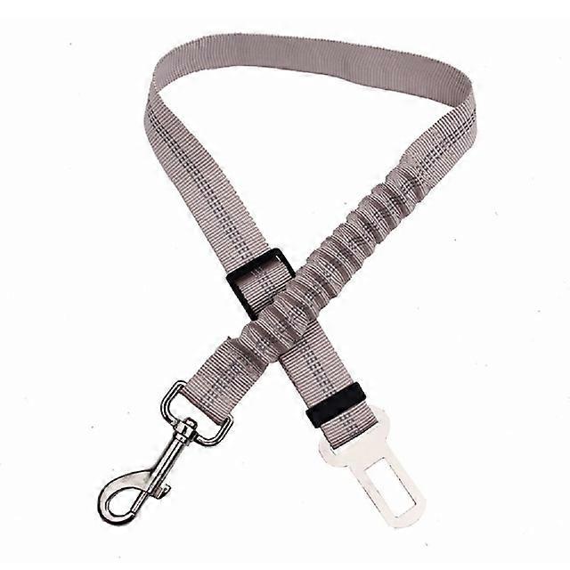 Dog Walking Leash Leads Traction Rope Chain