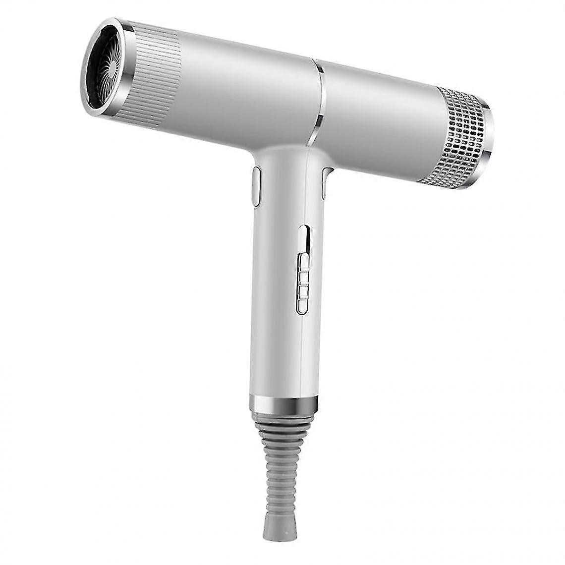Professional Ionic Hair Dryer Blower With Concentrator Diffuser Silver