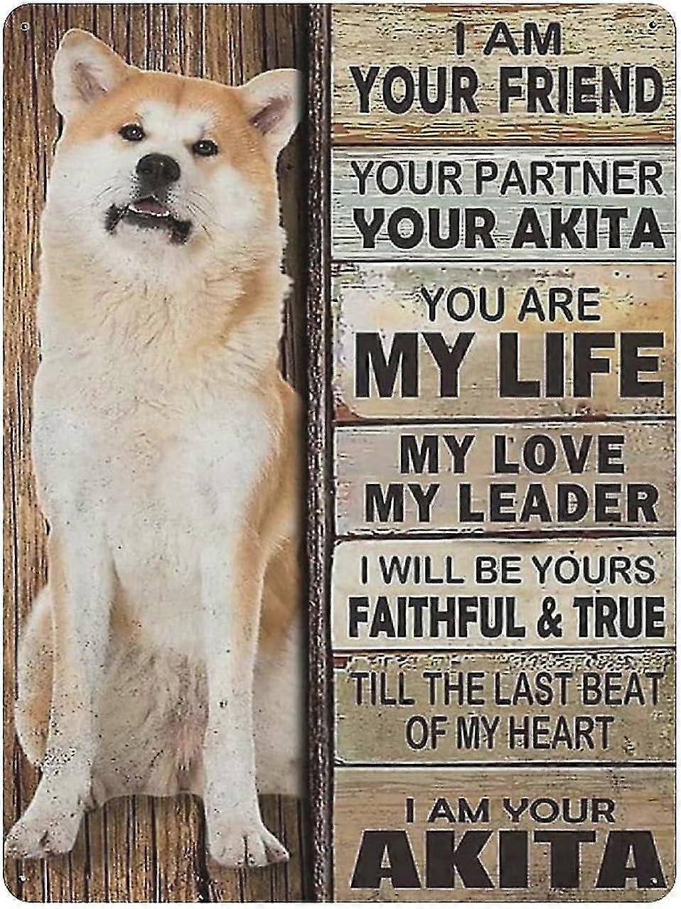 Placa de Metal Dachshund Cão Vintage Lata Poster Metal Sign 8x12 Polegadas OU 12x16 Polegadas Modo 1710