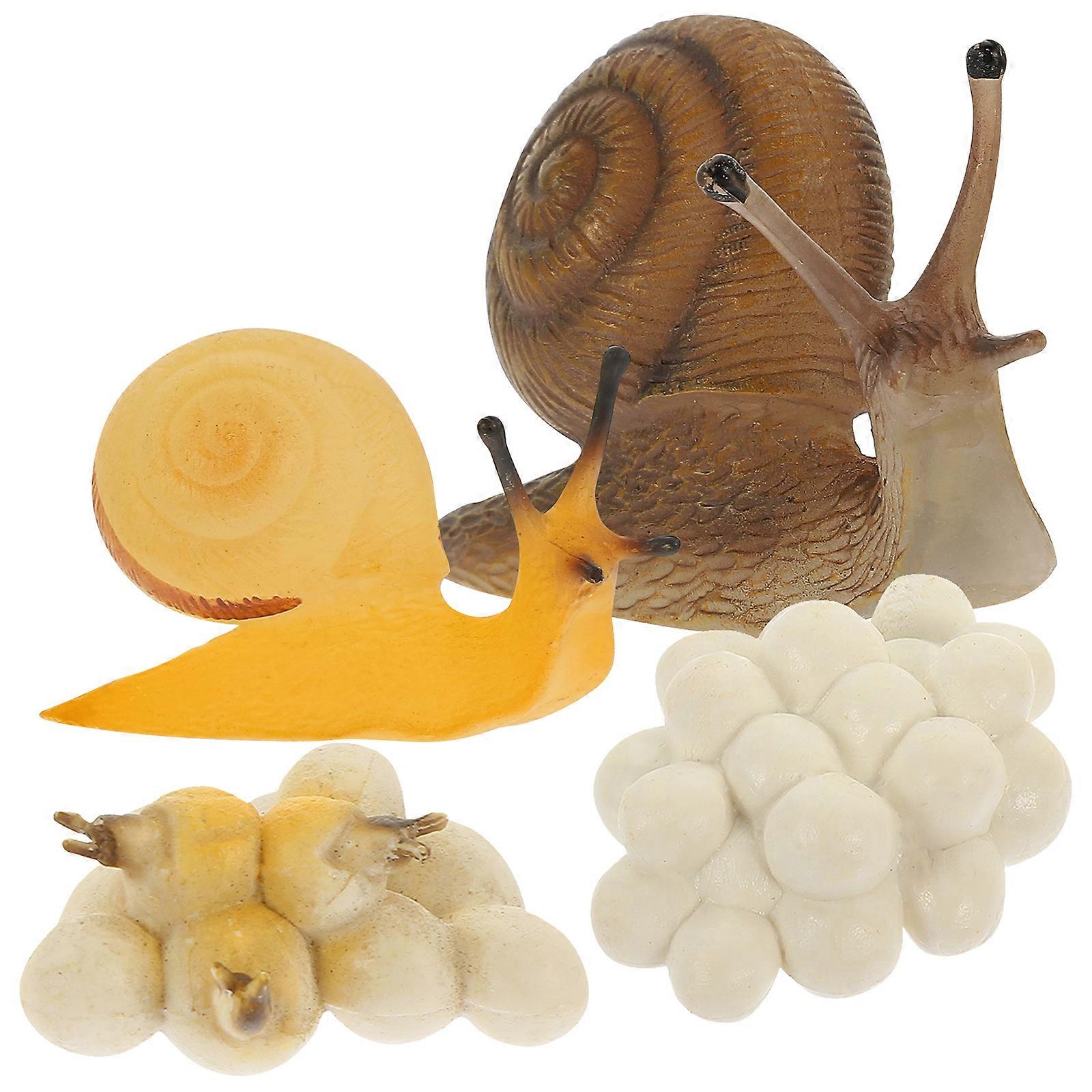 1 Set Snail Growth Toys Snail Growing Cycle Toys Cartoon Snail Models Simulated Snail Playthings
