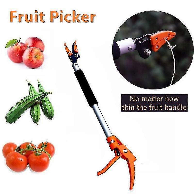 Long Handle Fruit Picker,garden Long Reach Tree Pruner,long Handled Secateurs For Tree Branches,frui