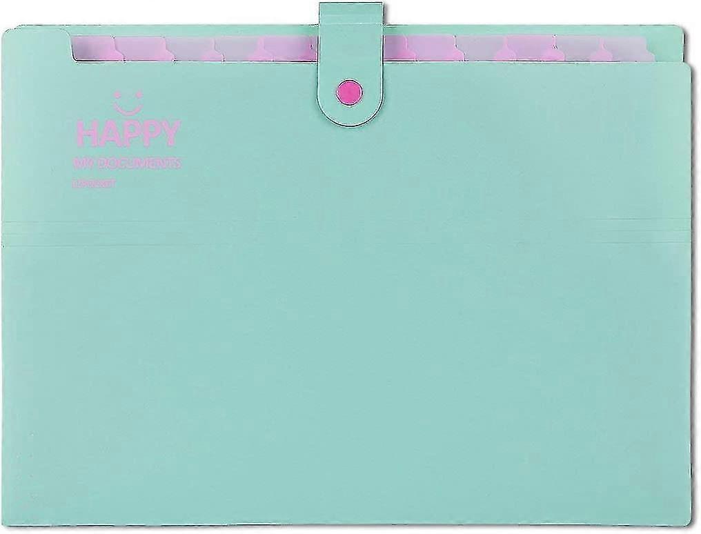 Expandable Portable File Folder, A4 Document Folder, A4 Folded Folder 12 Compartments Hand