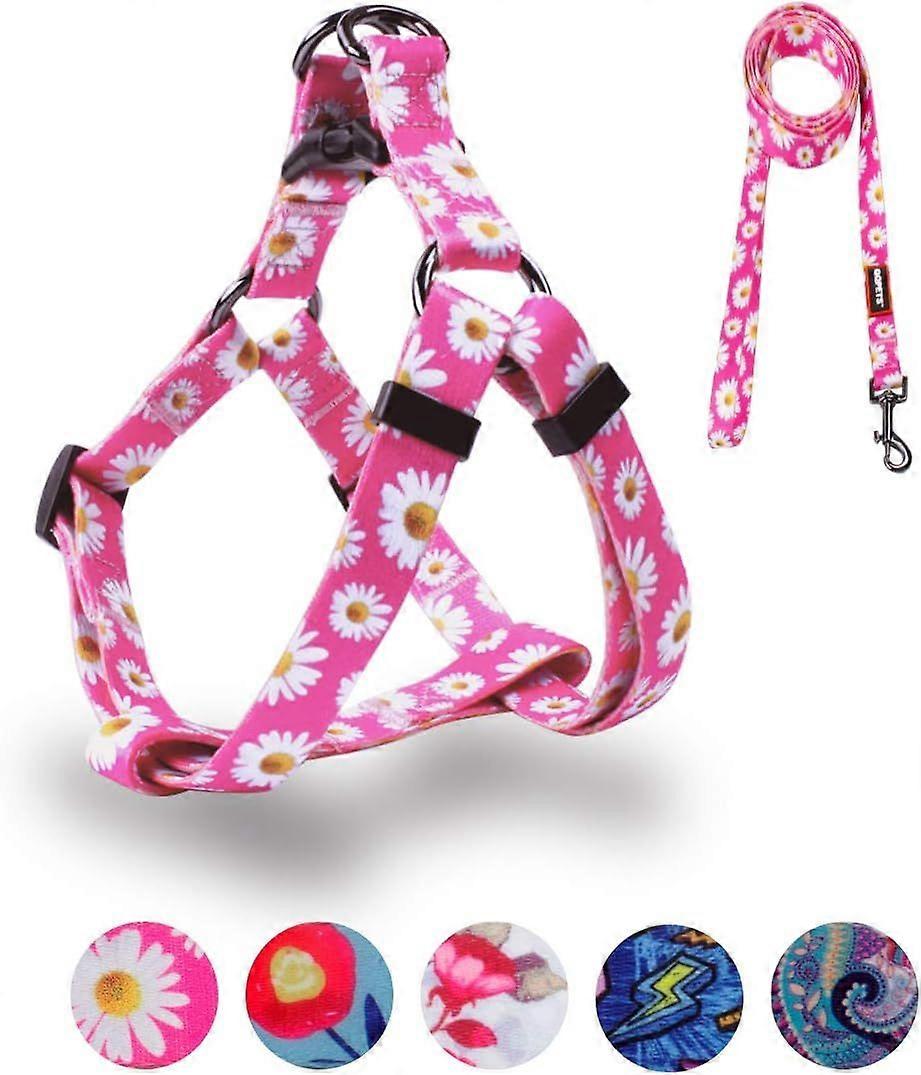 SBSGV Dog Harness Leash Set Adjustable Heavy Duty No Pull Halter Harnesses for Small Medium Large Breed Dogs Back Clip Anti-Twist Perfect for Walking