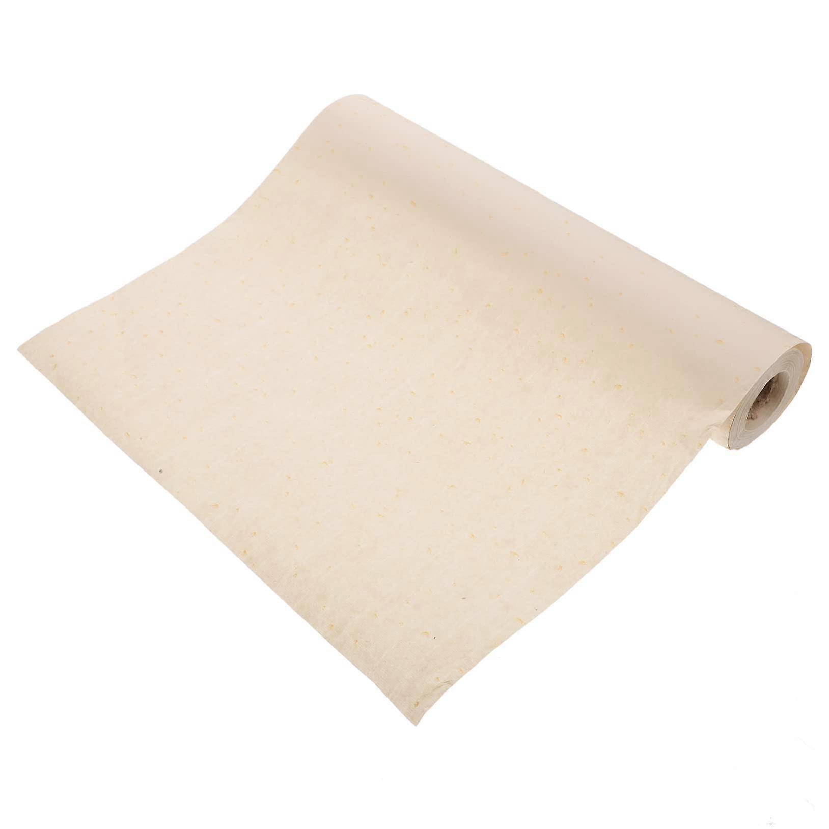 1Roll Premium Xuan Paper for Calligraphy Painting Rice Paper with Moderate Ink for All Ages for Writing Brush Practice Ref: 9138