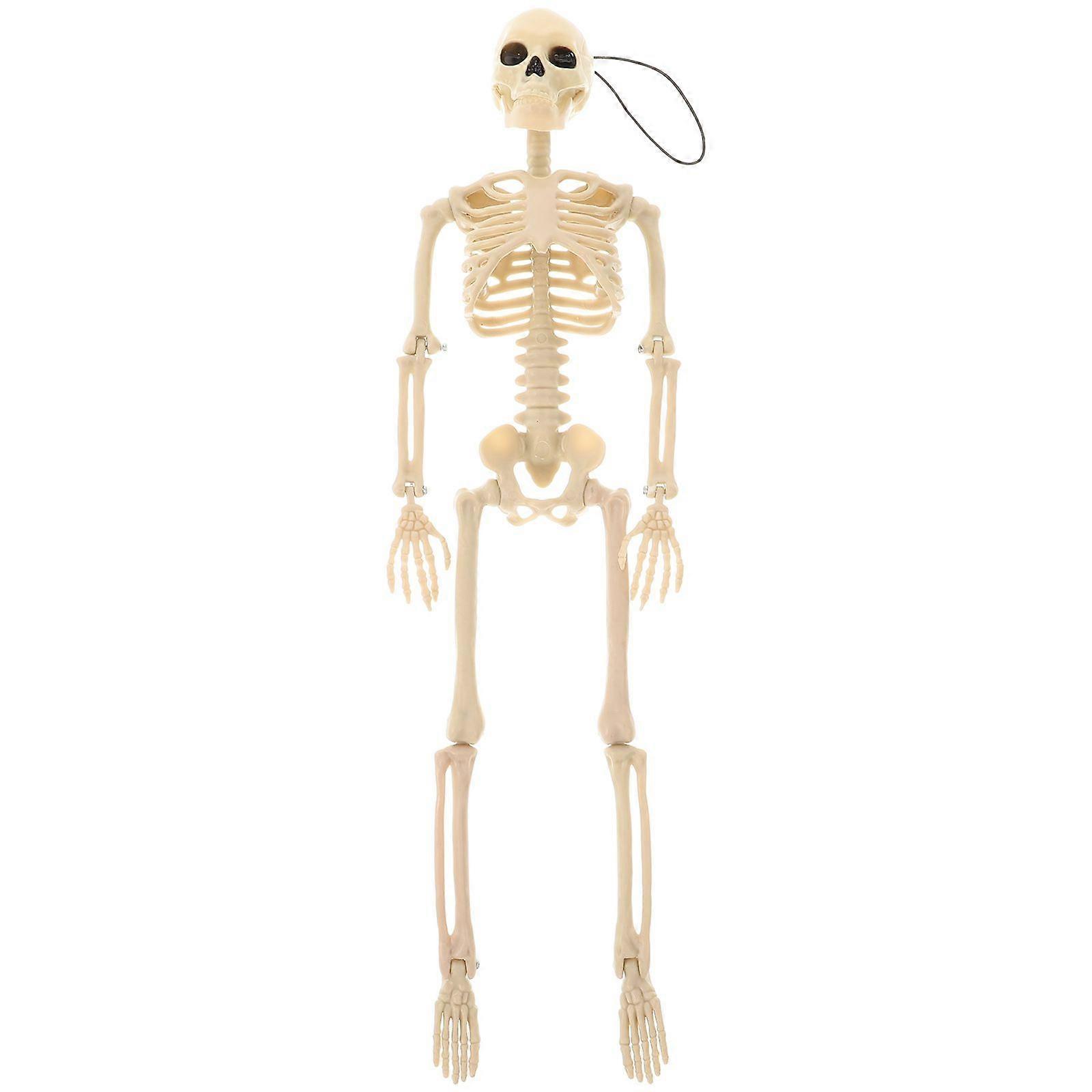 1Pc Simulated Skeleton Model Funny Skeleton Craft Halloween Layout Decor White