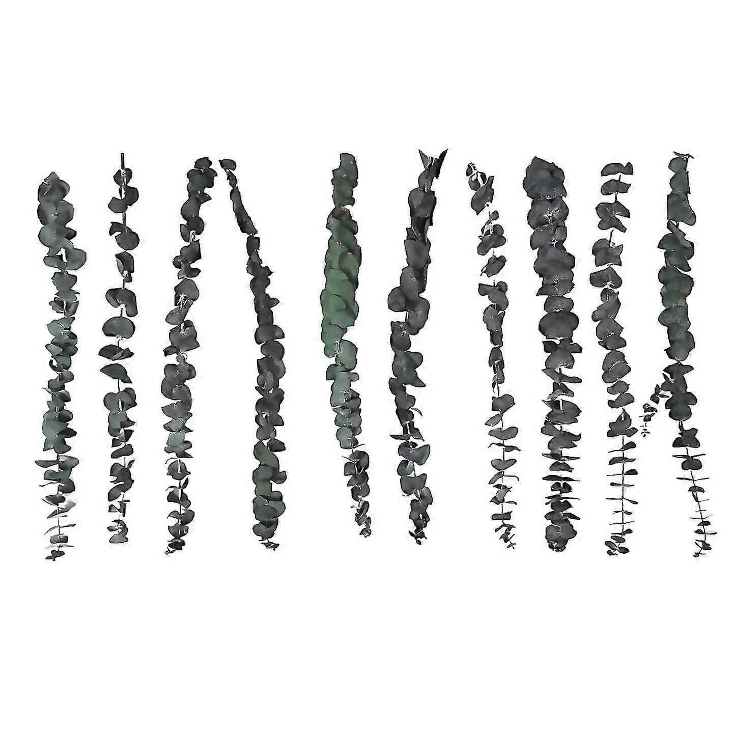For 10pack Natural Dried Eucalyptus Bundlepreserved Fresh Eucalyptus Branches For Flower Arrangement